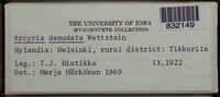 Arcyria denudata image